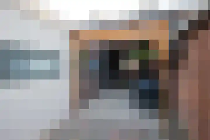 Bosjesweg 49 Sluiskil thumbnail 12