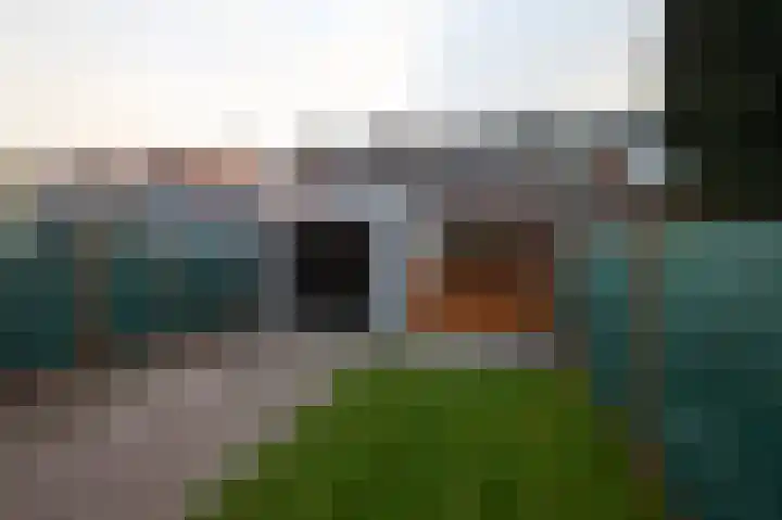Bosjesweg 49 Sluiskil thumbnail 4