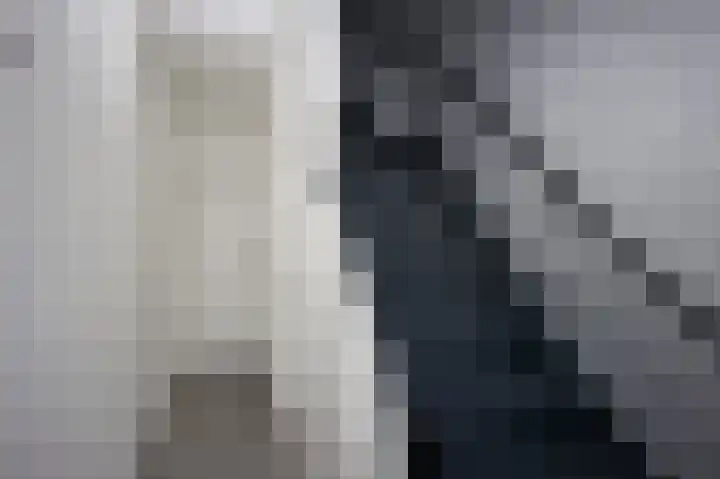 Bosjesweg 49 Sluiskil thumbnail 5