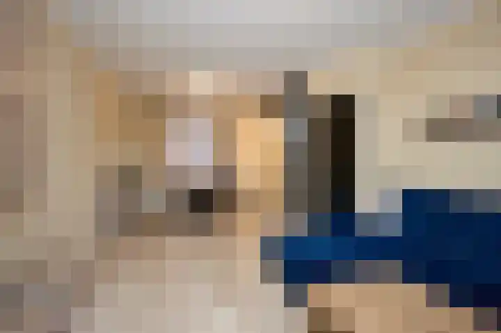 Bosjesweg 49 Sluiskil thumbnail 7