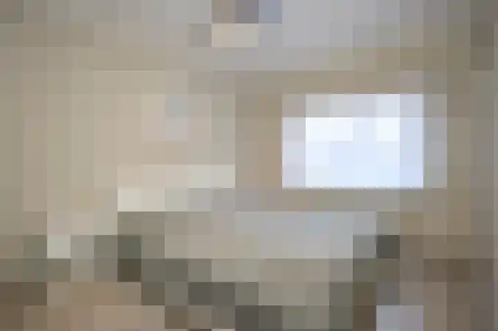 Bosjesweg 49 Sluiskil thumbnail 9