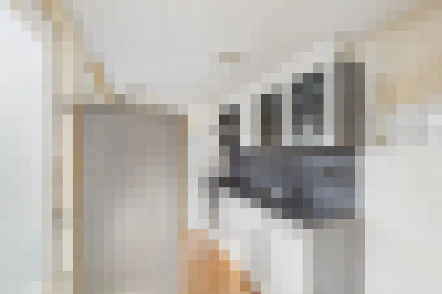 Bosjesweg 63 Sluiskil thumbnail 10
