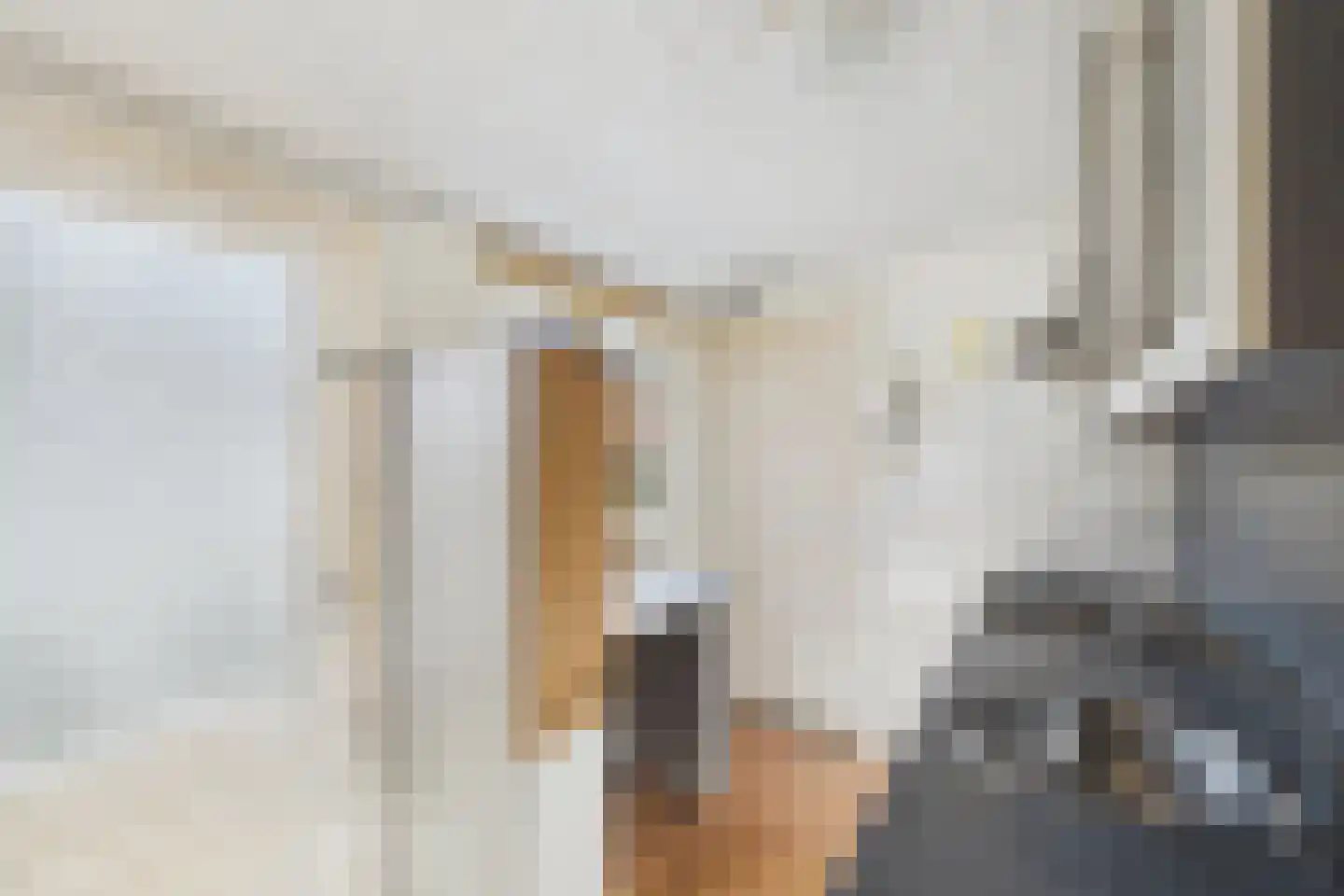 Bosjesweg 63 Sluiskil thumbnail 12
