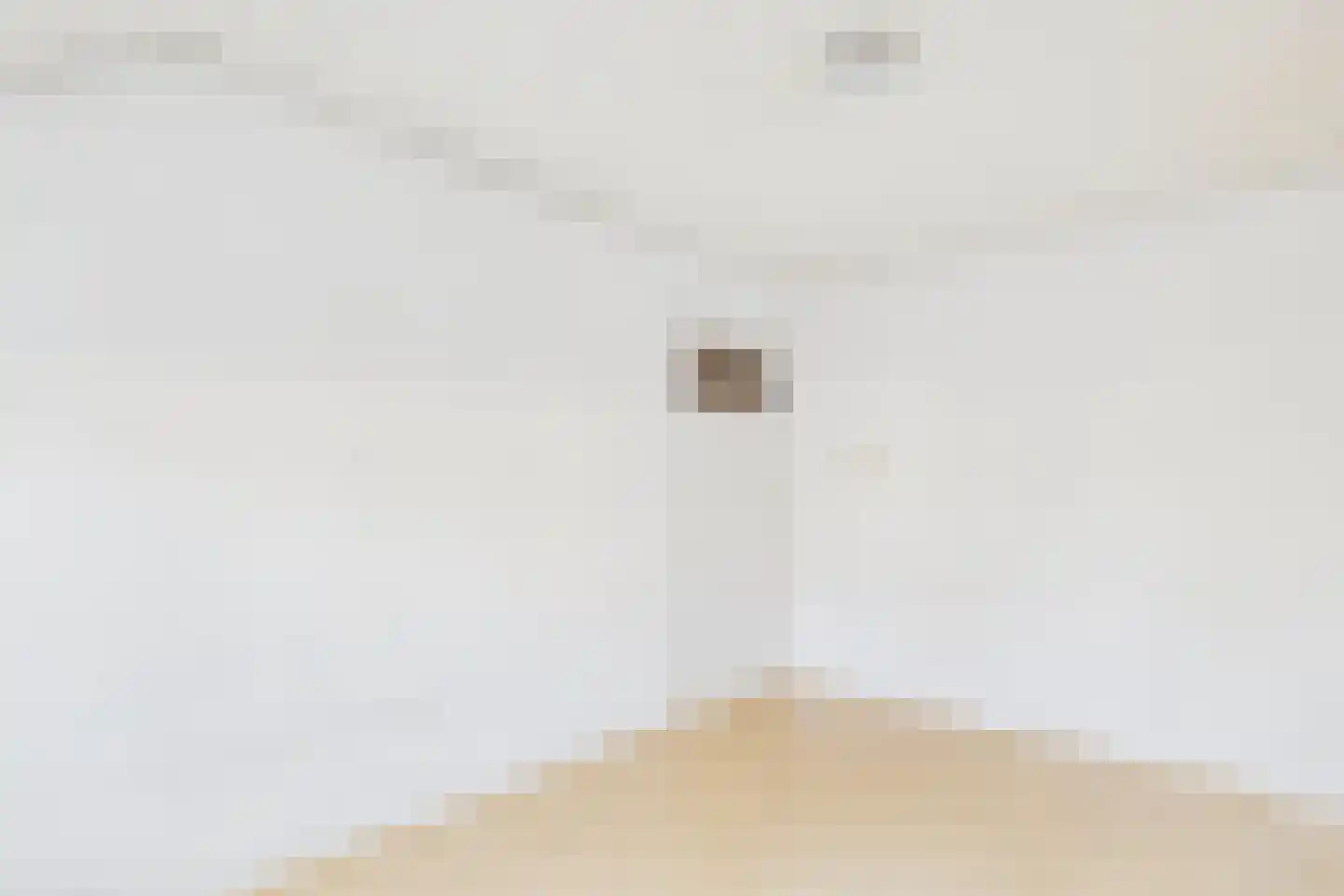Bosjesweg 63 Sluiskil thumbnail 21