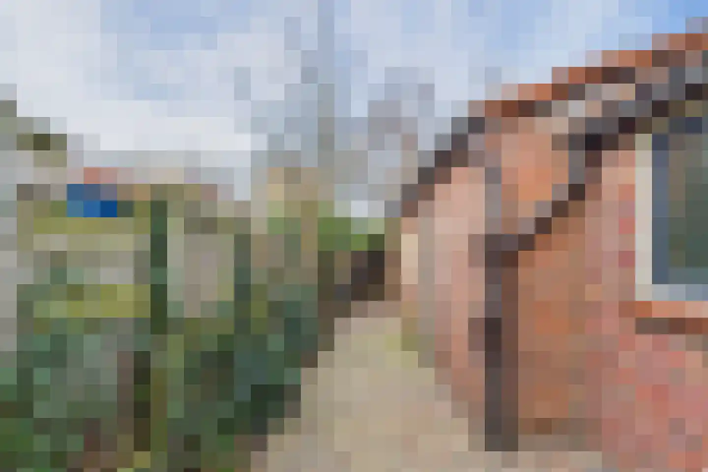 Bosjesweg 63 Sluiskil thumbnail 27