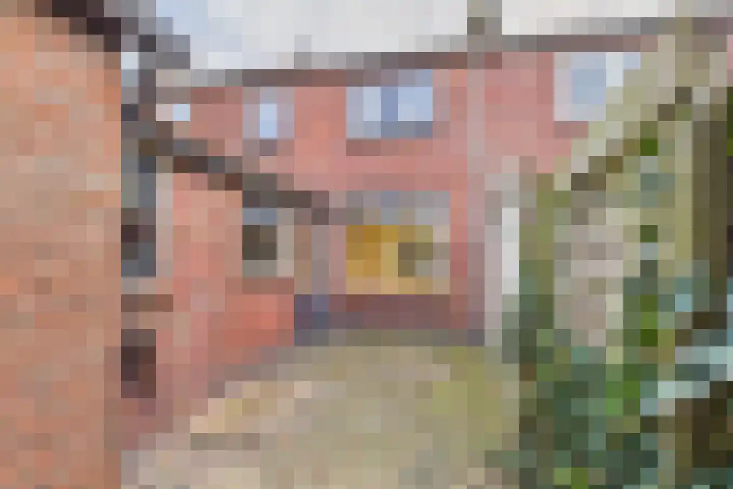 Bosjesweg 63 Sluiskil thumbnail 28