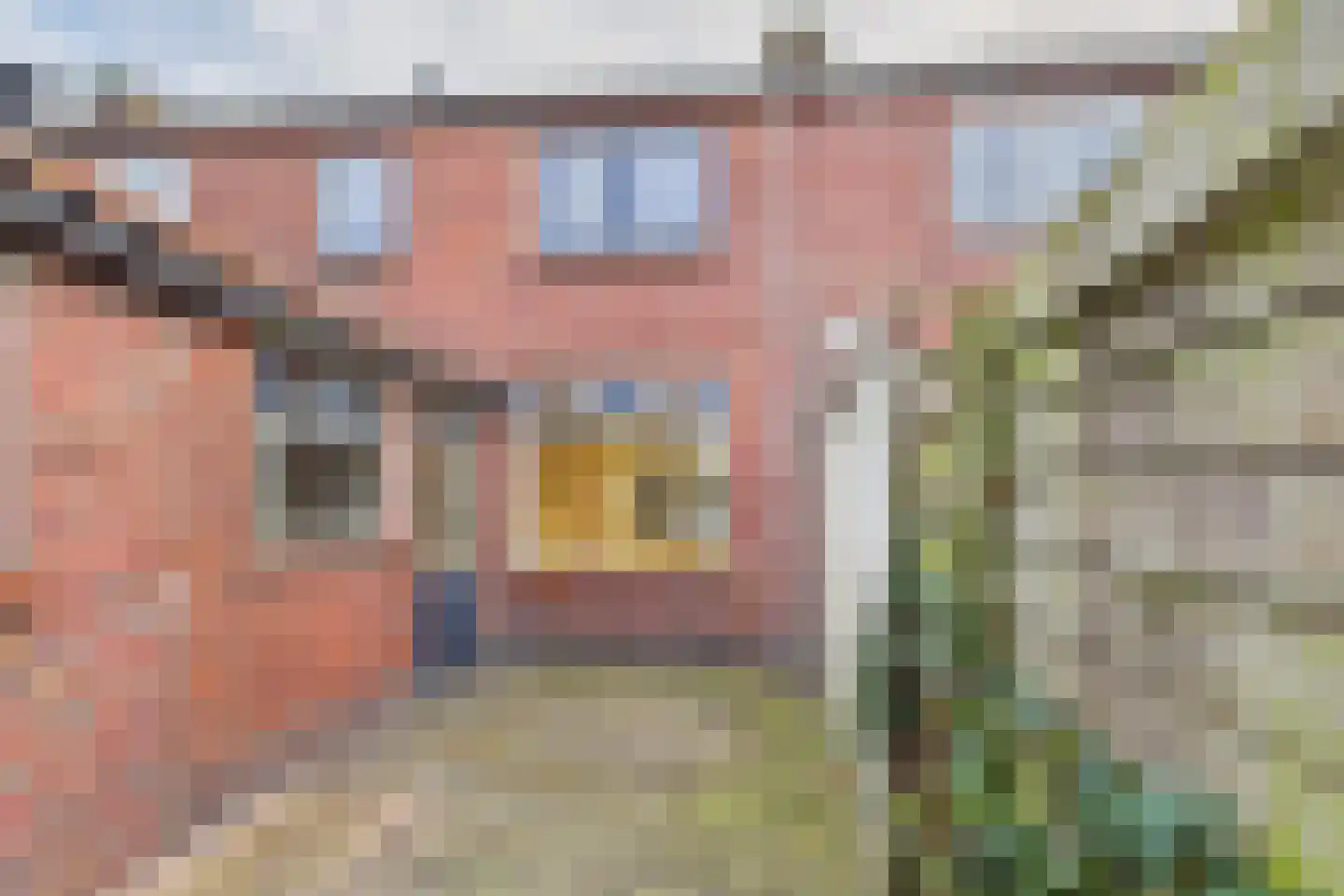 Bosjesweg 63 Sluiskil thumbnail 29