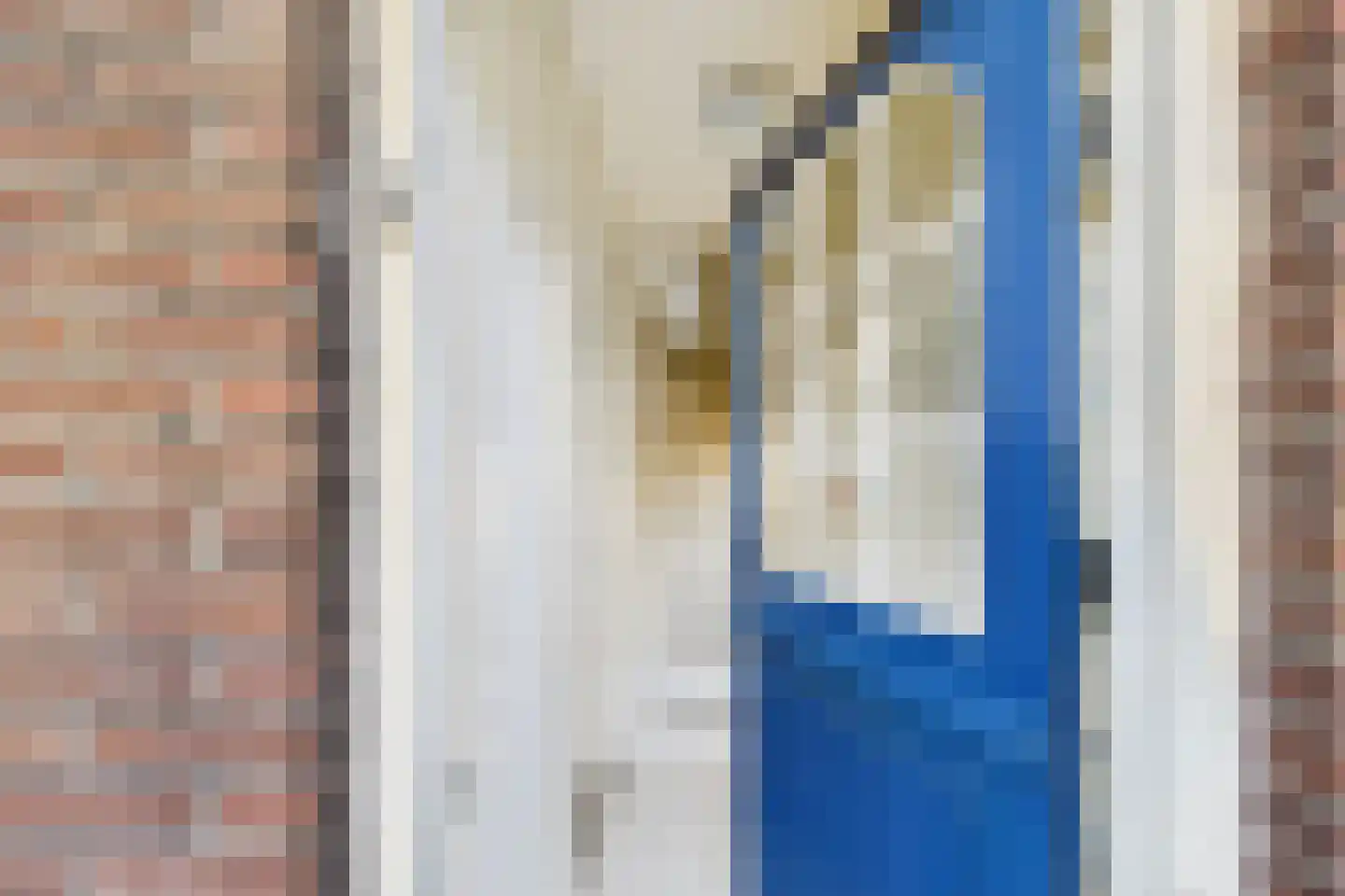 Bosjesweg 63 Sluiskil foto 3