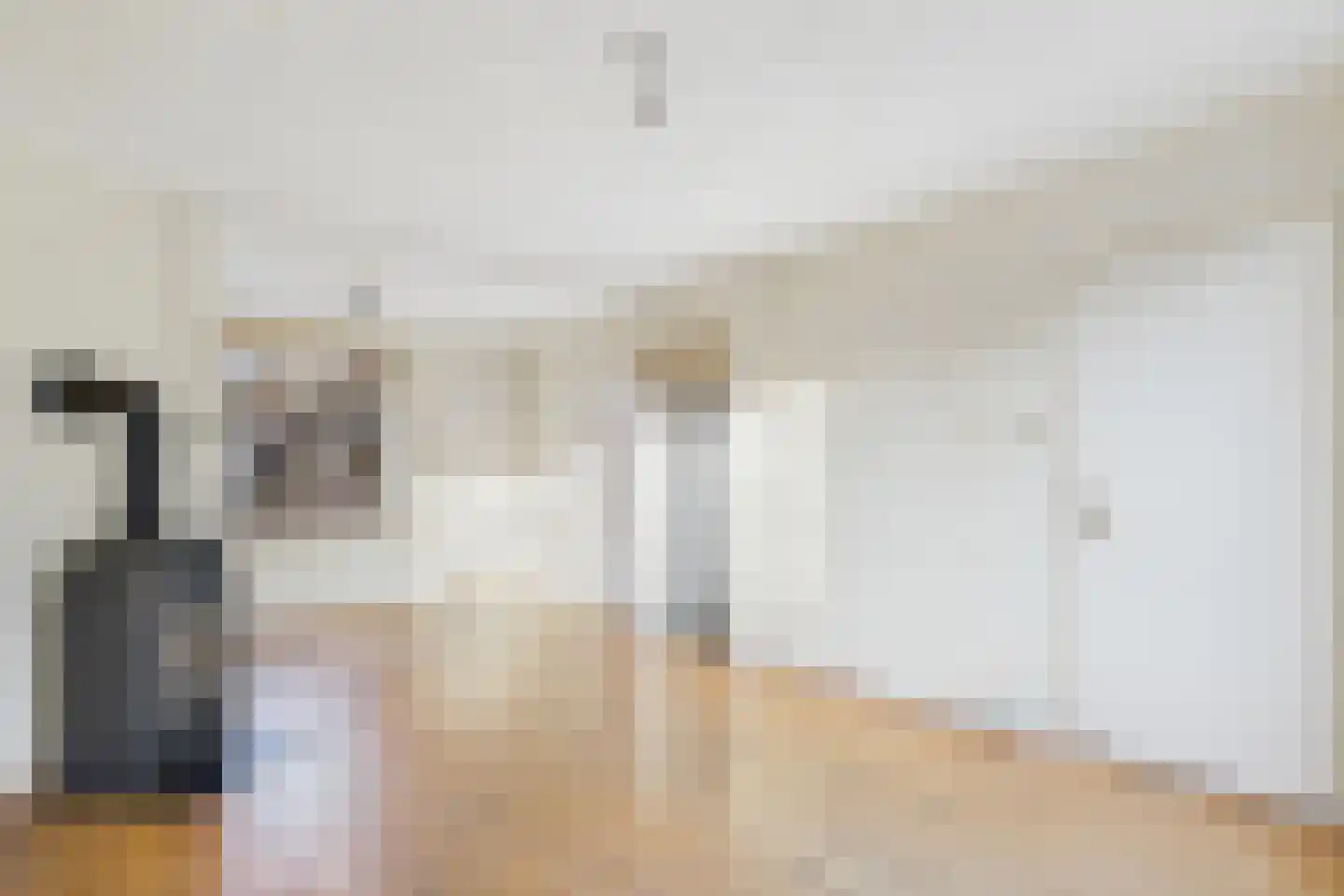 Bosjesweg 63 Sluiskil thumbnail 8