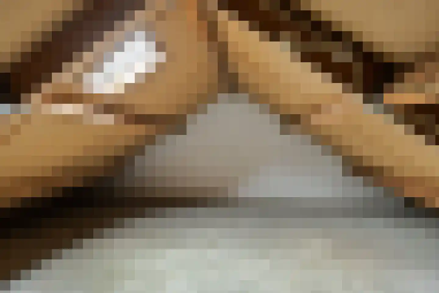 Boskamp 1 Haren Gn thumbnail 36