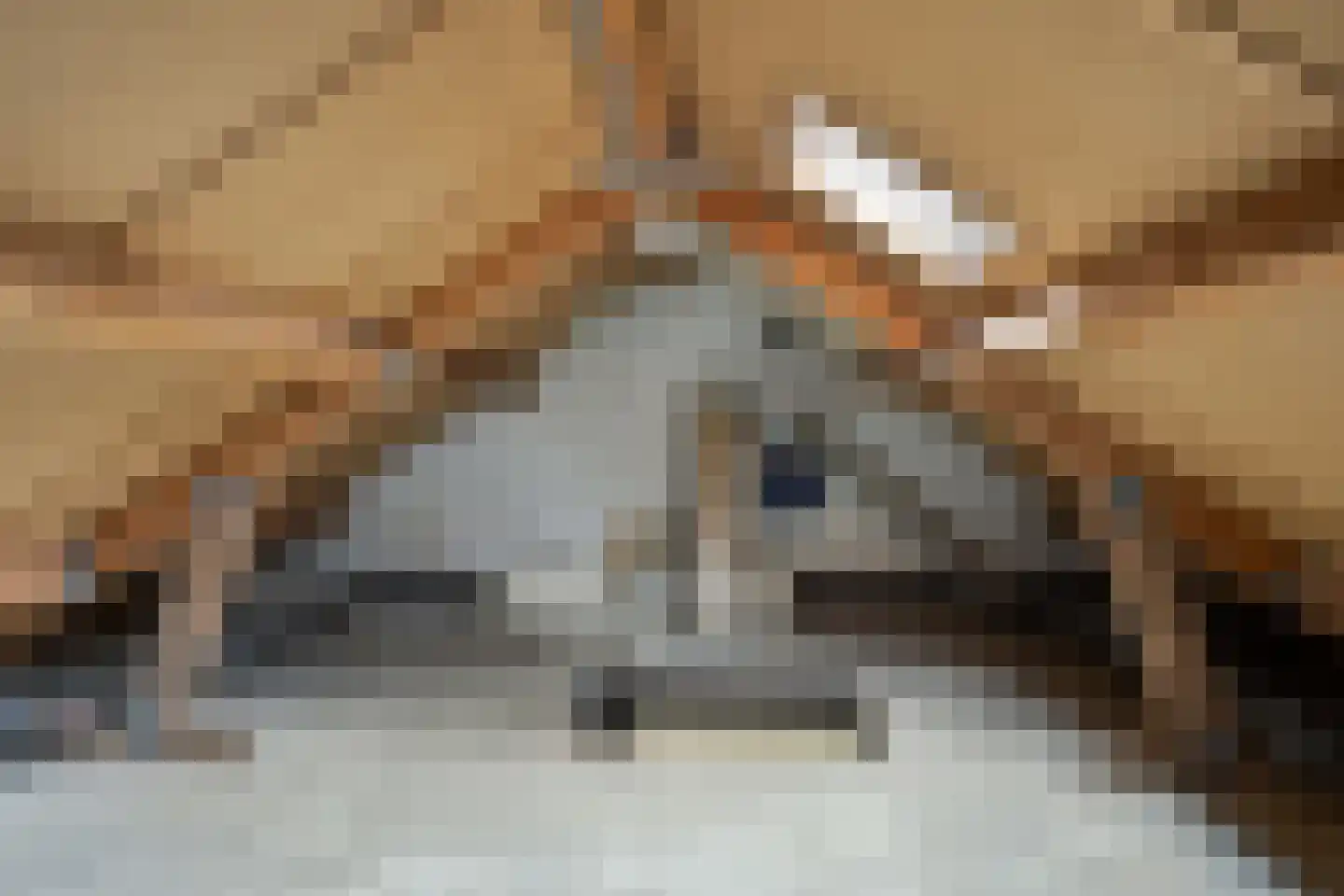Boskamp 1 Haren Gn thumbnail 37