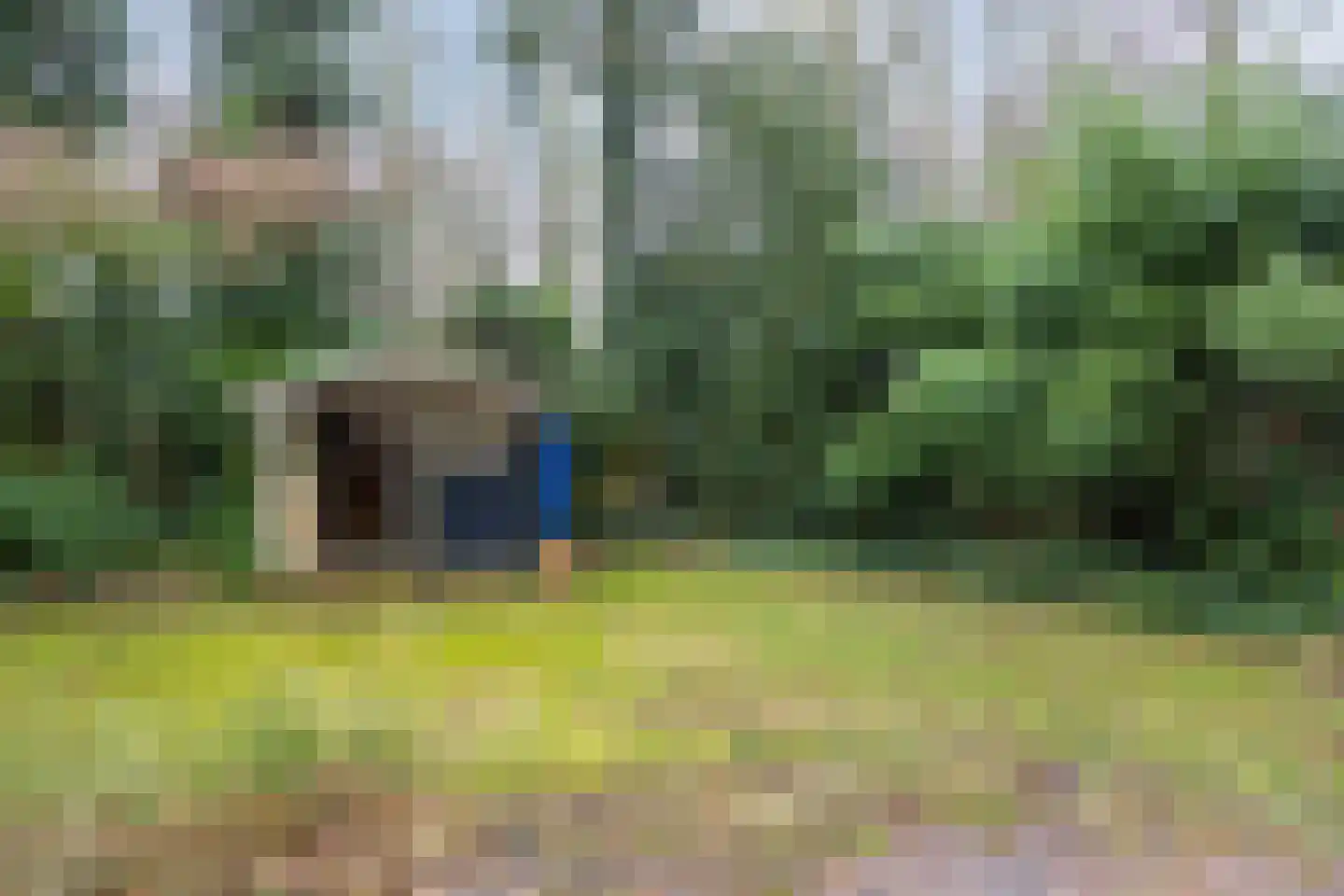 Boskamp 1 Haren Gn thumbnail 39