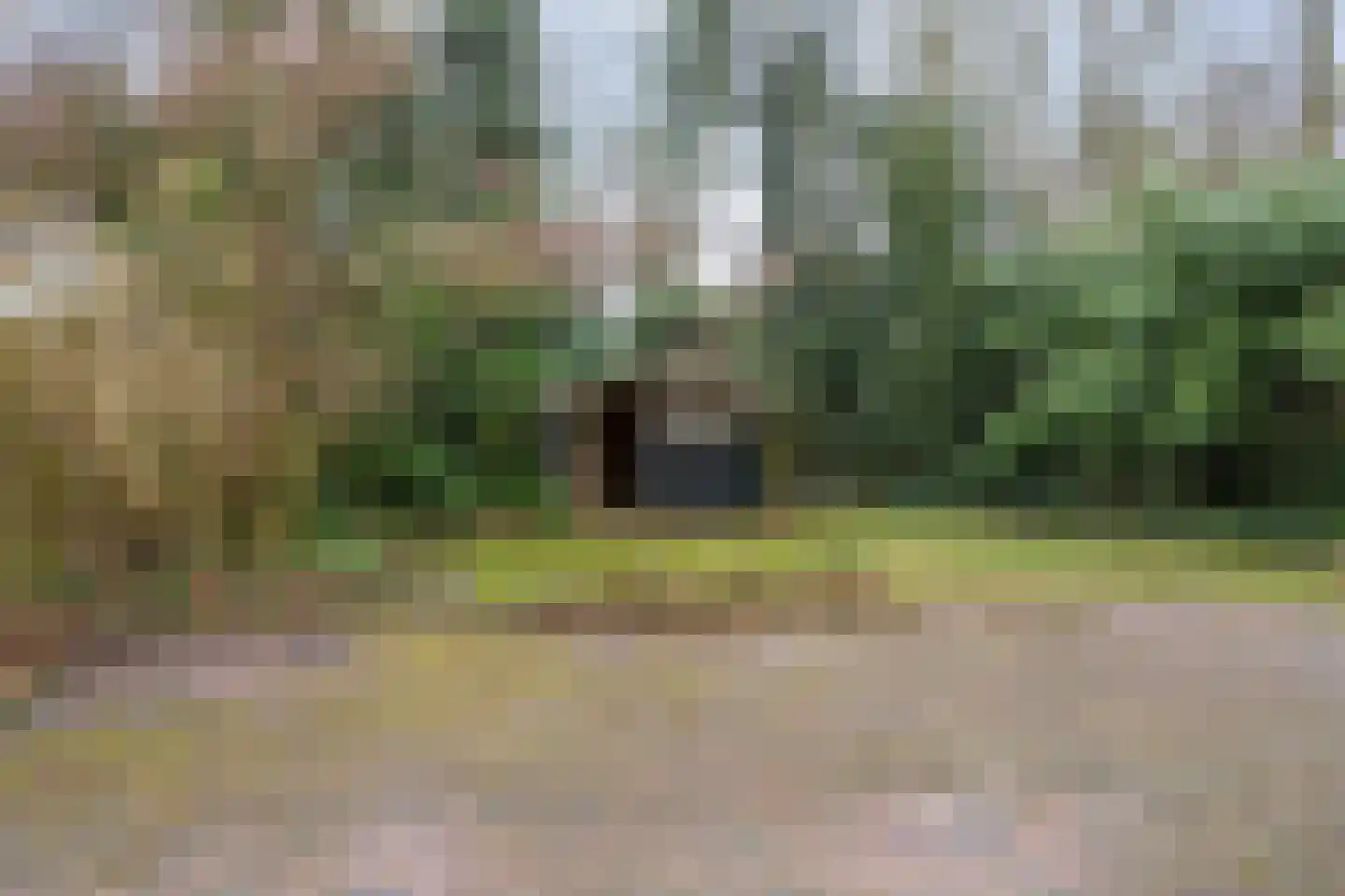 Boskamp 1 Haren Gn thumbnail 4