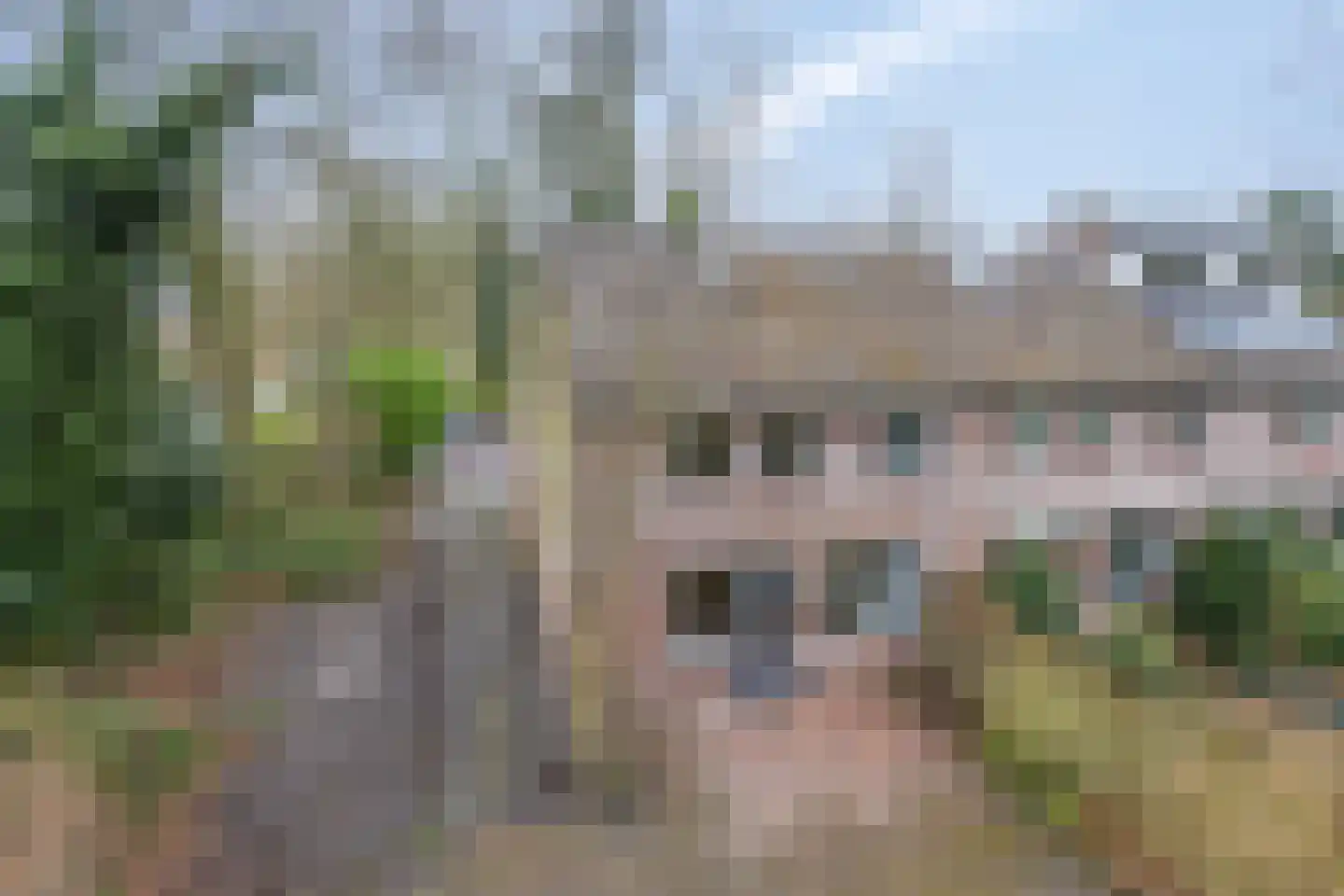 Boskamp 1 Haren Gn thumbnail 40