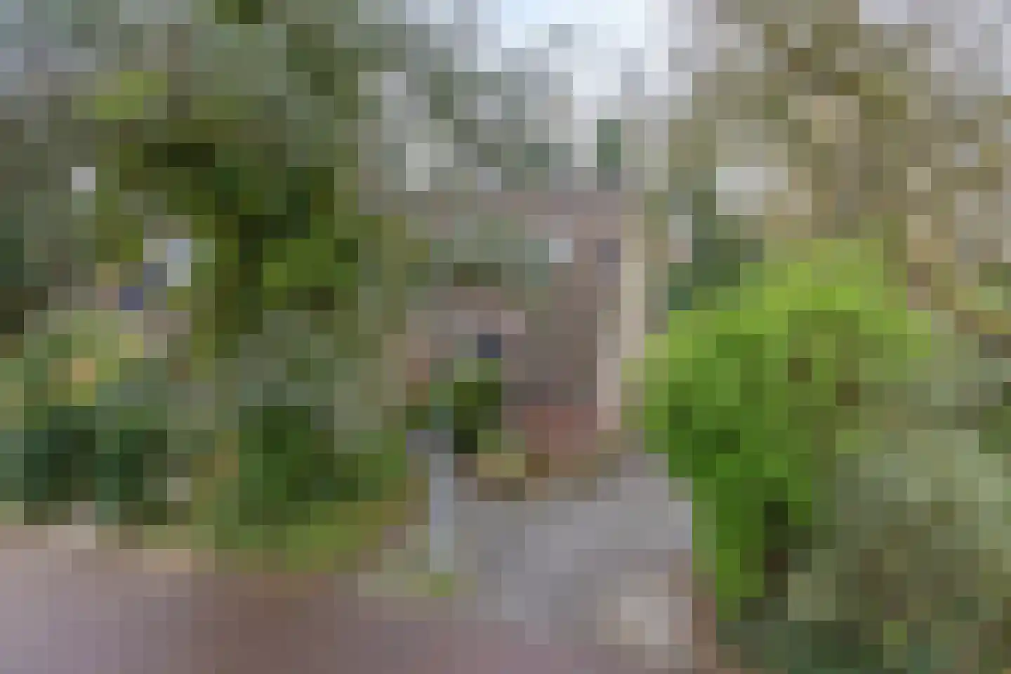 Boskamp 1 Haren Gn thumbnail 41