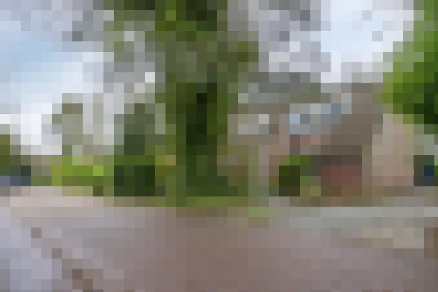 Boskamp 1 Haren Gn thumbnail 42