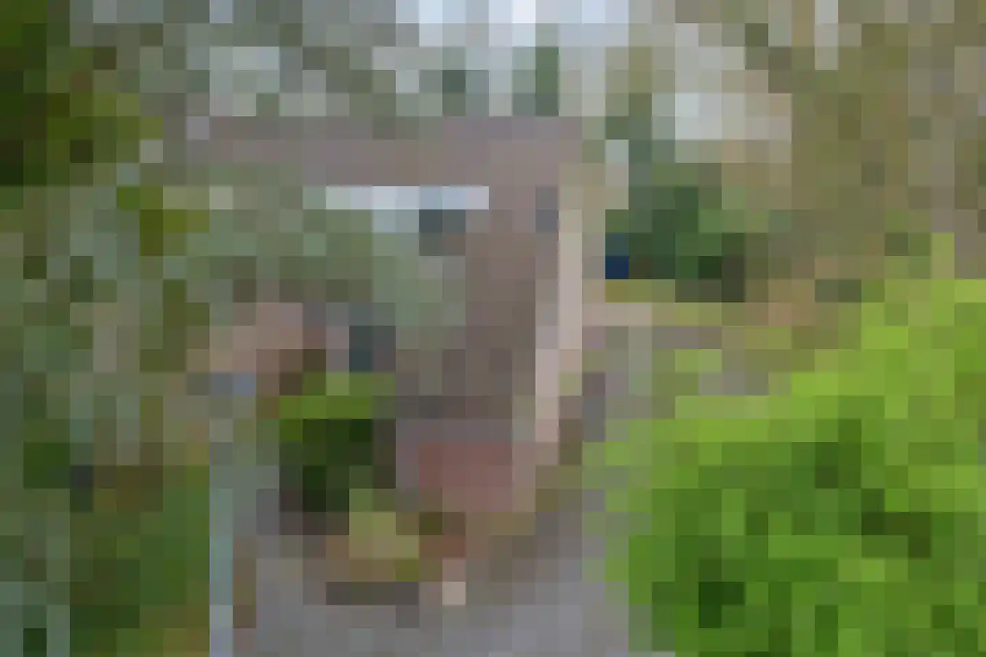 Boskamp 1 Haren Gn thumbnail 5