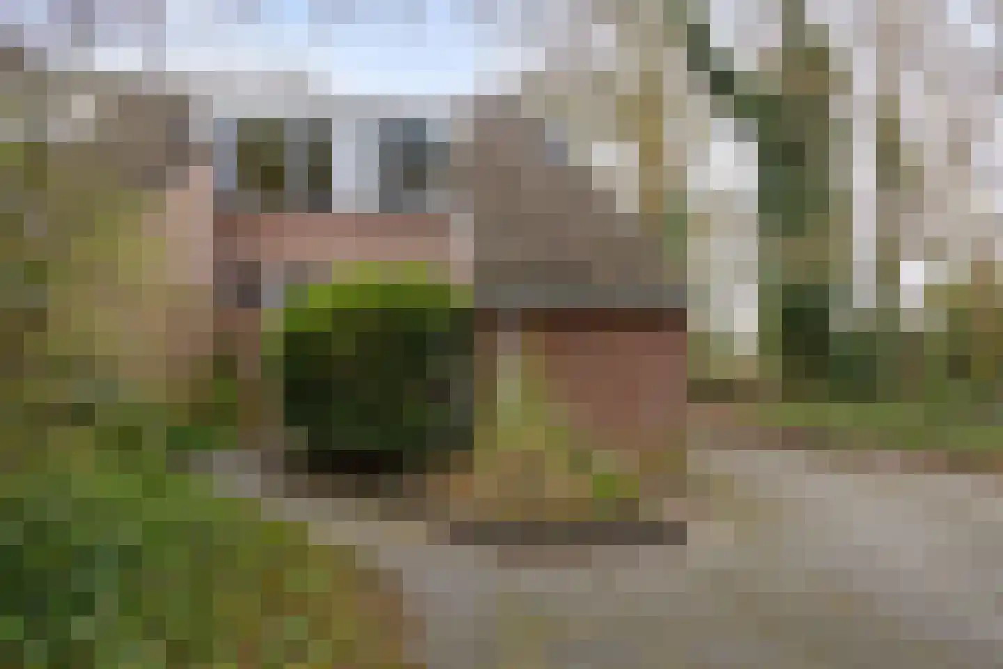 Boskamp 1 Haren Gn thumbnail 7