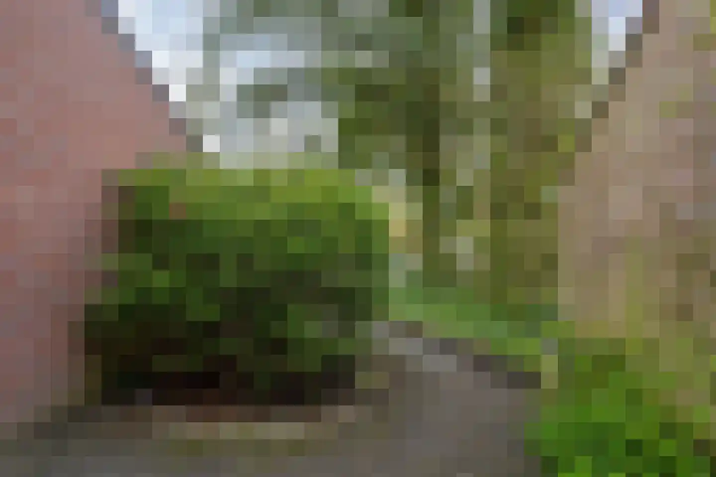Boskamp 1 Haren Gn thumbnail 8