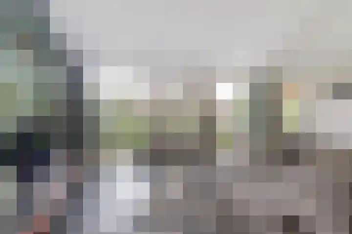 Boskamp 10 Ewijk thumbnail 12
