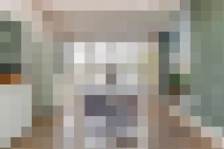 Boskamp 10 Ewijk thumbnail 17