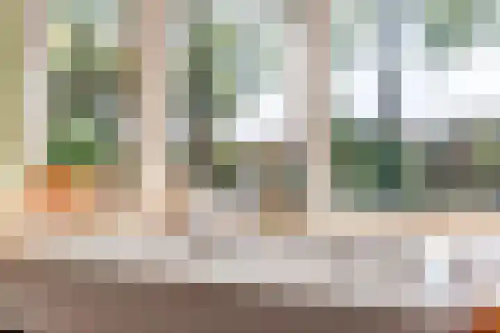 Boskamp 10 Ewijk thumbnail 20