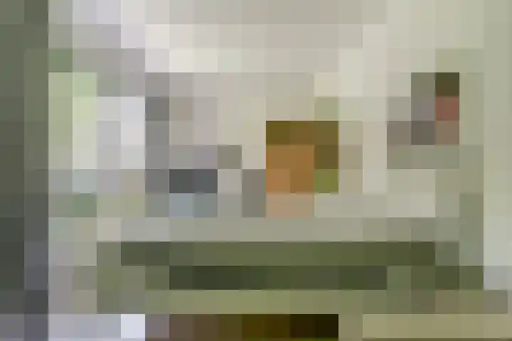 Boskamp 10 Ewijk thumbnail 31