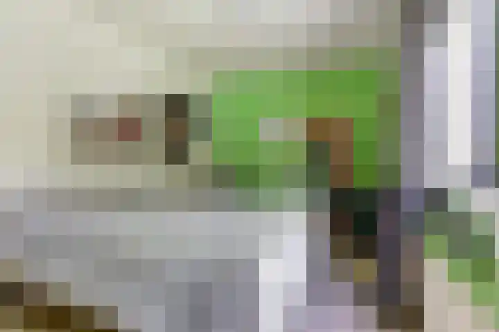 Boskamp 10 Ewijk thumbnail 32