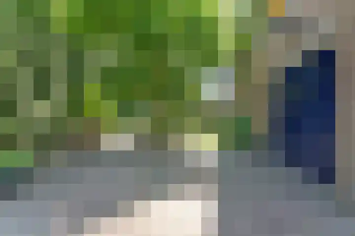 Boskamp 10 Ewijk thumbnail 4