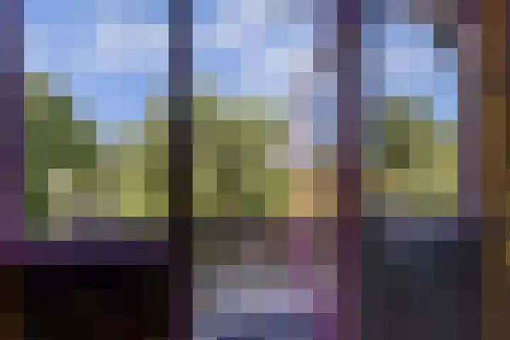 Boskamp 10 Ewijk thumbnail 45