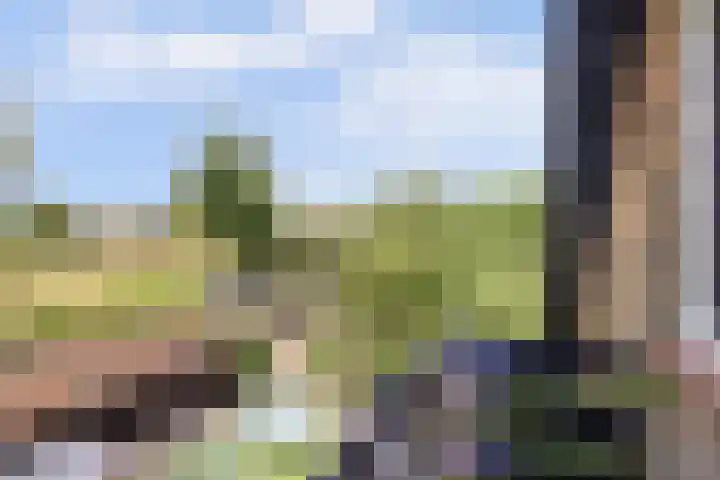 Boskamp 10 Ewijk thumbnail 46