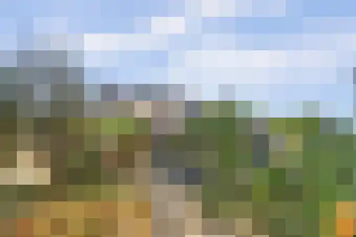 Boskamp 10 Ewijk thumbnail 48