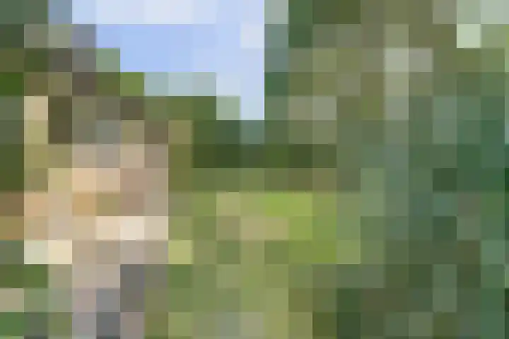 Boskamp 10 Ewijk thumbnail 49