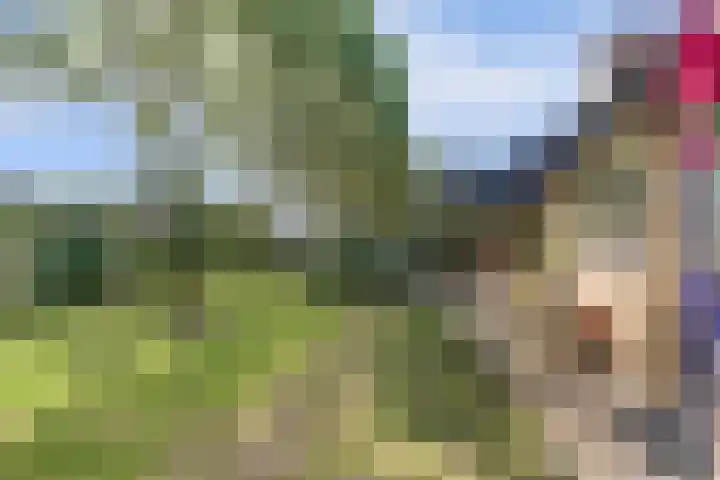 Boskamp 10 Ewijk thumbnail 50