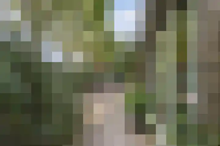 Boskamp 10 Ewijk thumbnail 51