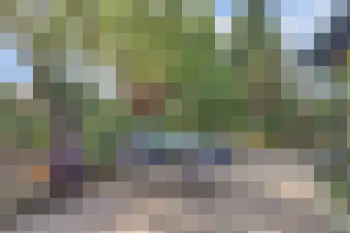 Boskamp 10 Ewijk thumbnail 52