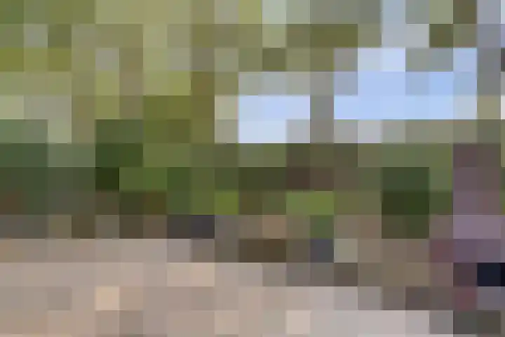 Boskamp 10 Ewijk thumbnail 53