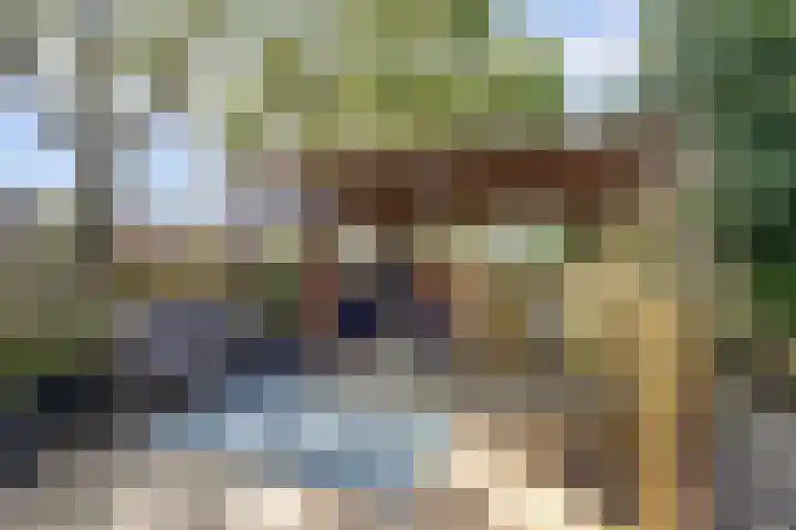Boskamp 10 Ewijk thumbnail 54