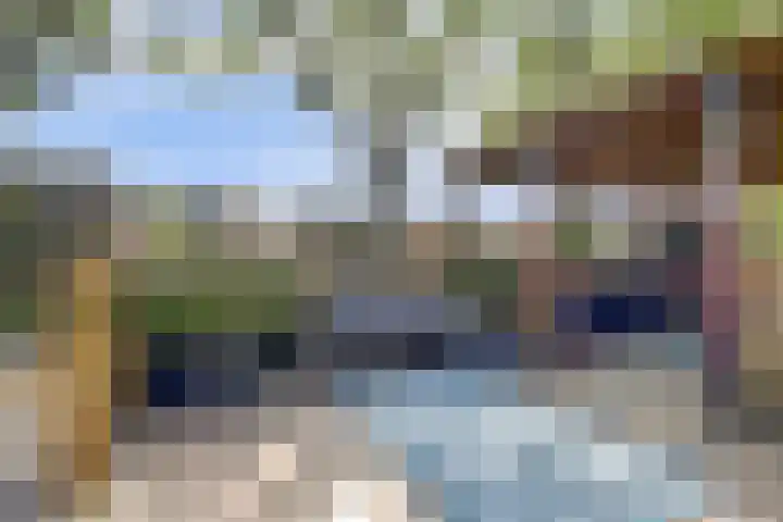 Boskamp 10 Ewijk thumbnail 55