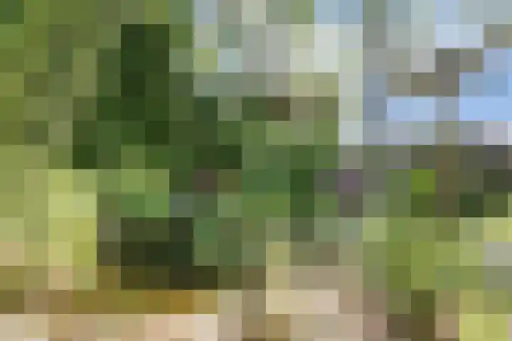 Boskamp 10 Ewijk thumbnail 58