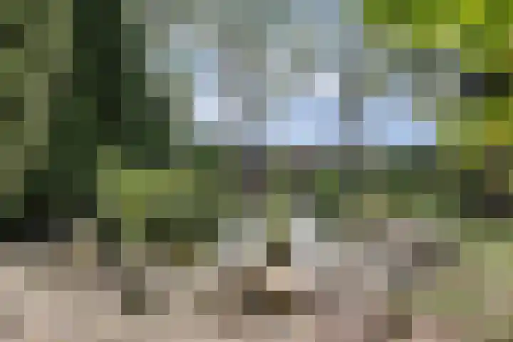 Boskamp 10 Ewijk thumbnail 59