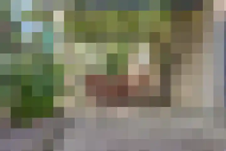 Boskamp 10 Ewijk thumbnail 61