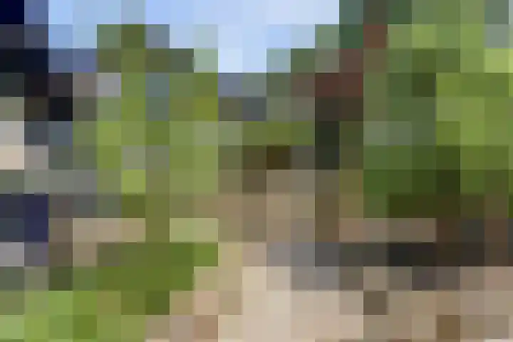 Boskamp 10 Ewijk thumbnail 64