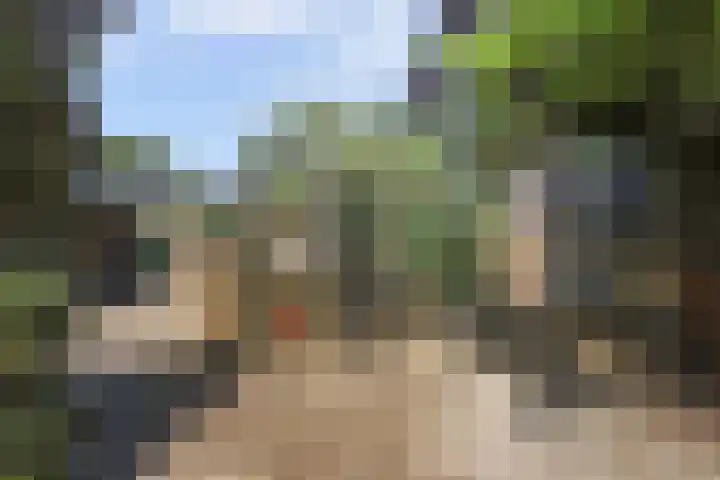 Boskamp 10 Ewijk thumbnail 65