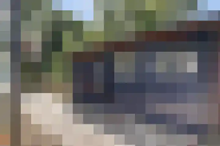 Boskamp 10 Ewijk thumbnail 66