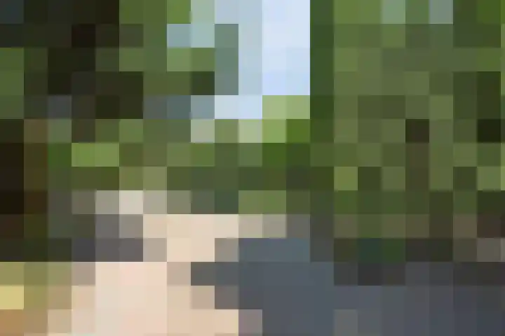 Boskamp 10 Ewijk thumbnail 67