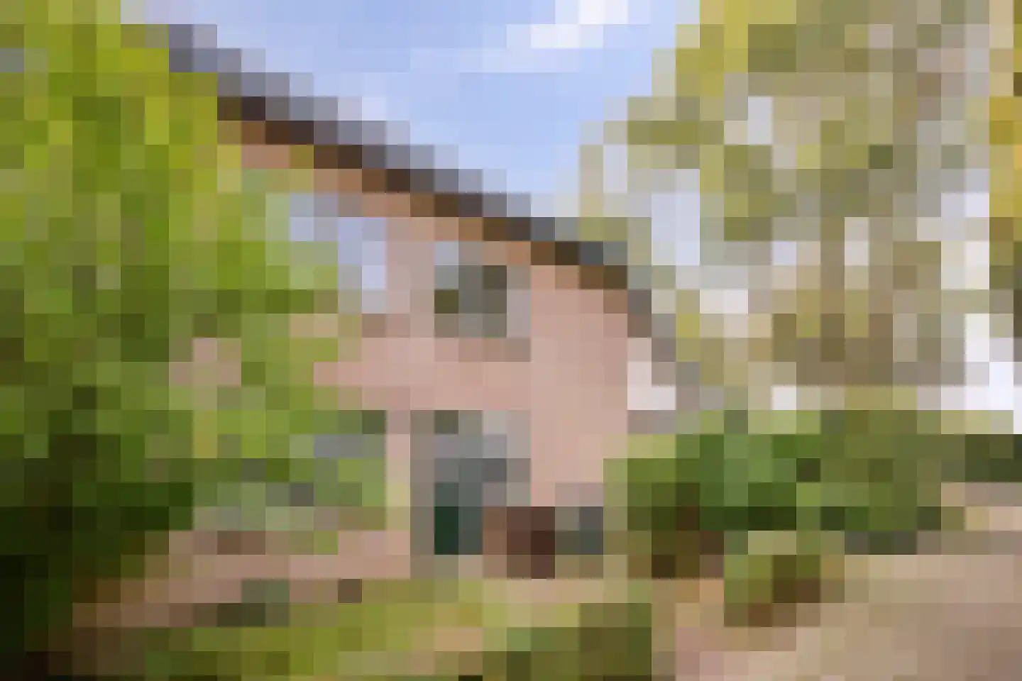 Boskamp 12 Ewijk thumbnail 11