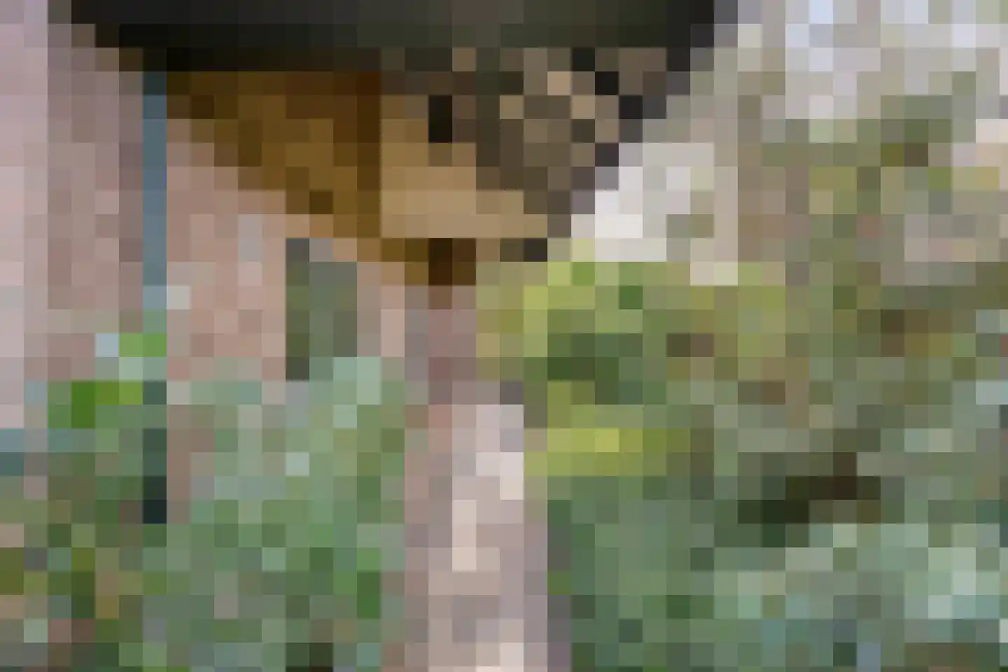 Boskamp 12 Ewijk thumbnail 12