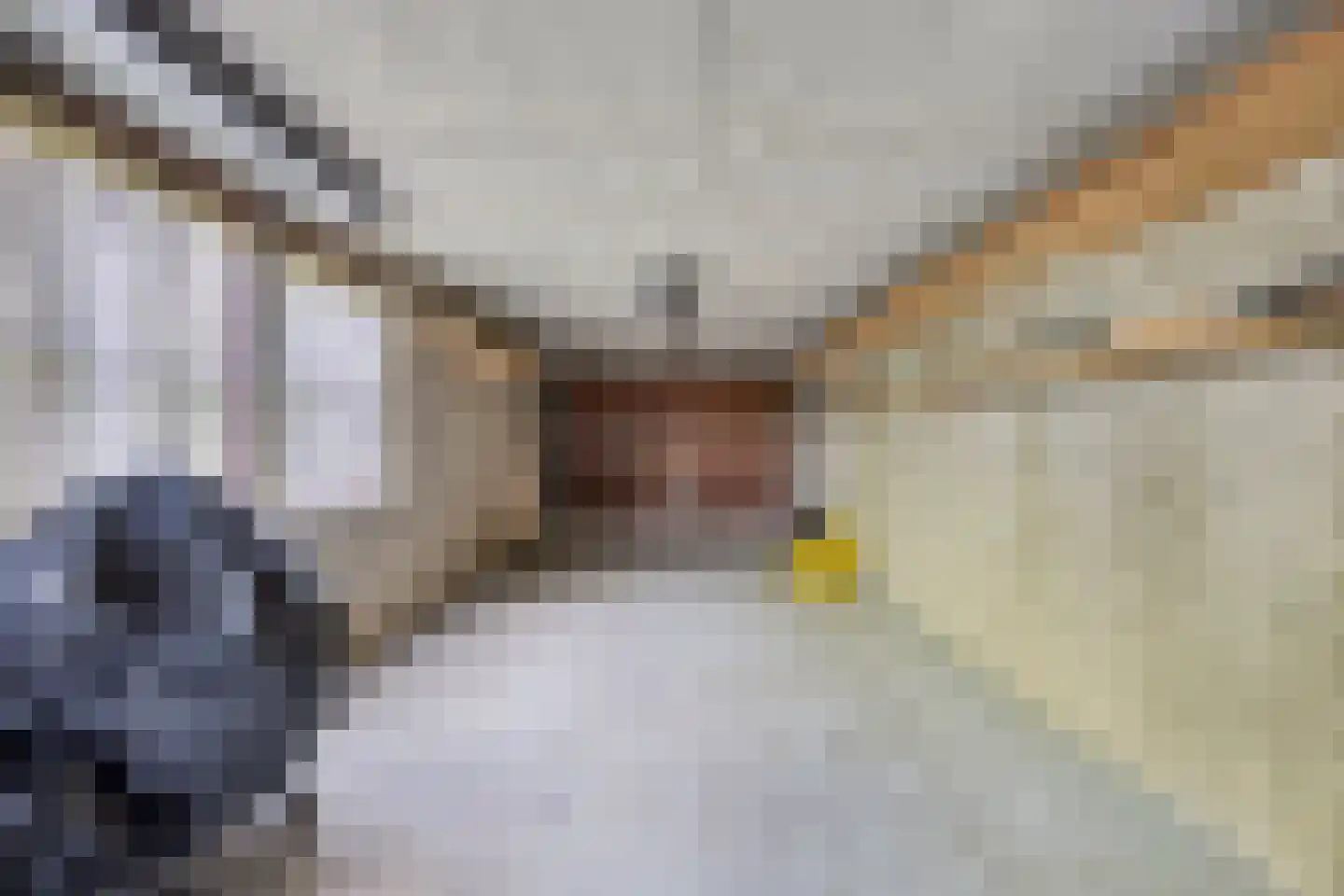 Boskamp 12 Ewijk thumbnail 27