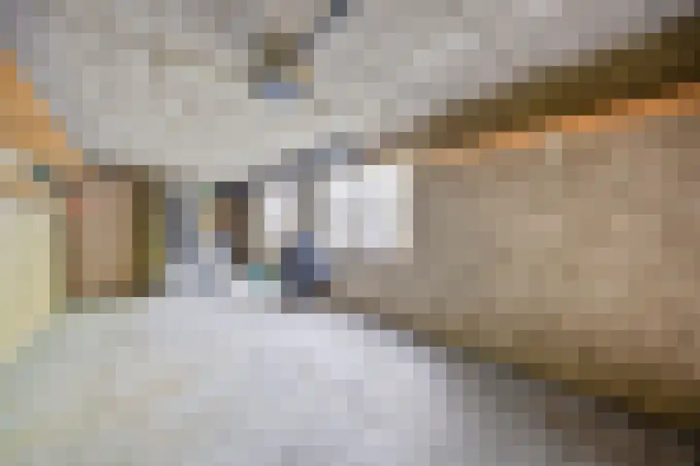 Boskamp 12 Ewijk thumbnail 28